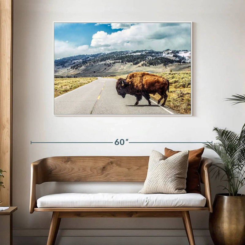 American Bison Crossing, Cadre flottant blanc, 46 po x 31 po