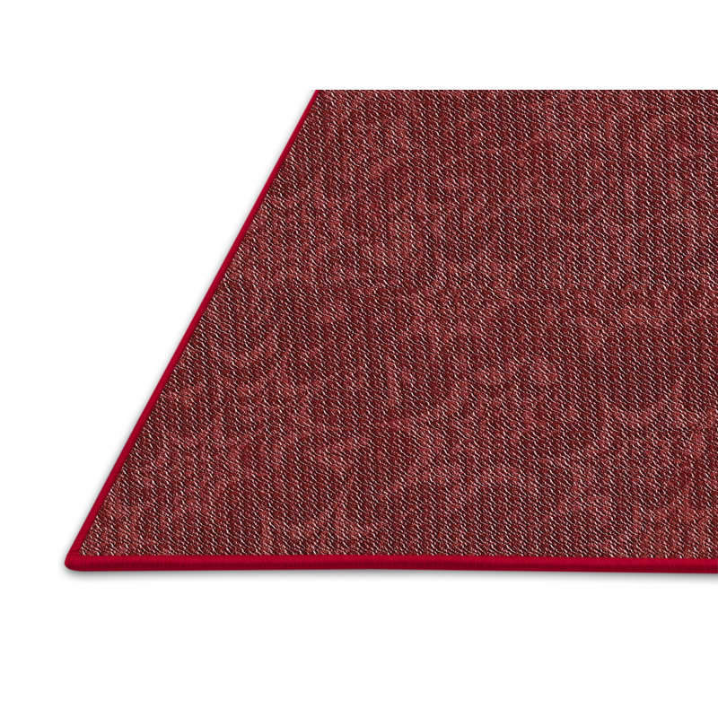 Indoor Rug, Rectangle 4' x 6'