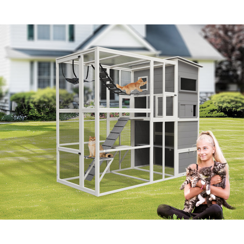 Enclos pour chat Tucker Murphy Pet Catio, Blanc