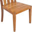 Claris Outdoor Teak Dining Side Chair