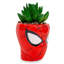 Cactus en pot 5 po