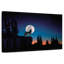 Loup hurlant la nuit-108841382