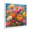 Rose, orange, orange, été, prairie I - Renoncule, art mural, salon-1346002085-1346002093