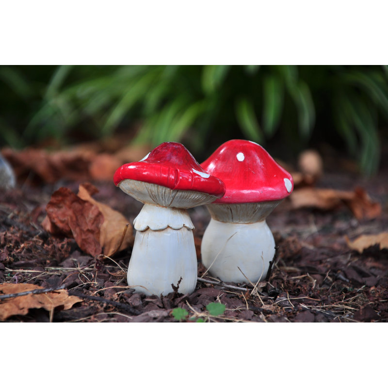 Ensemble de champignon miniature Ploeger Garden
