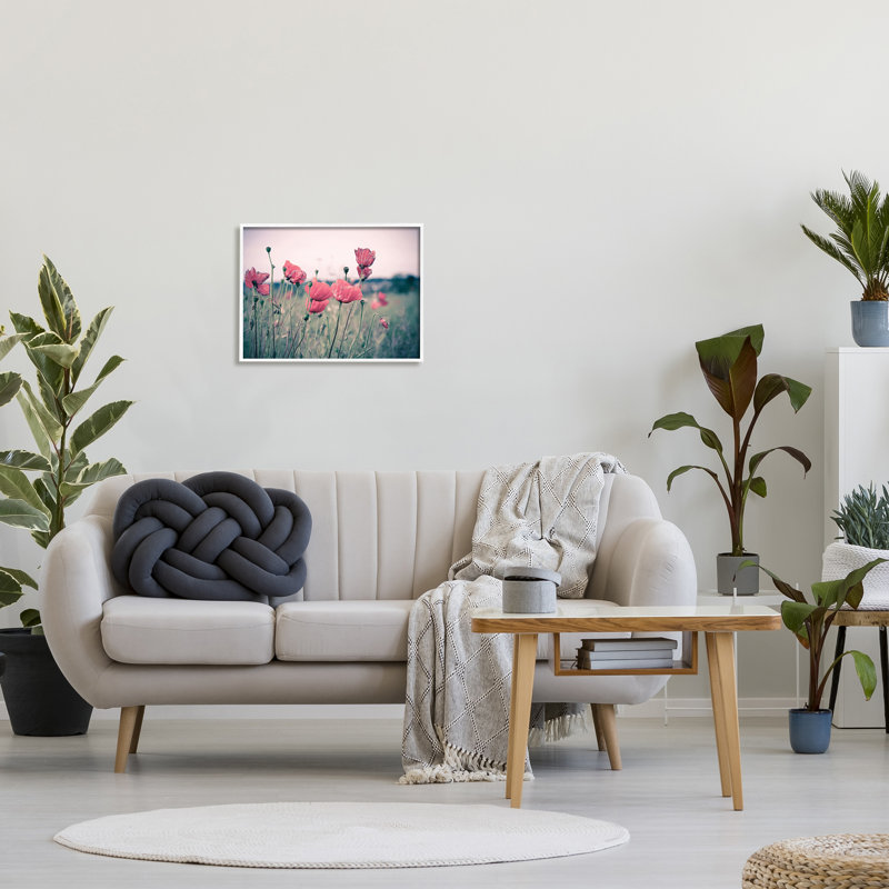 Champ de coquelicots d'automne - photographie, H 16 po x l 20 po, Giclée encadrée blanc bord de mer
