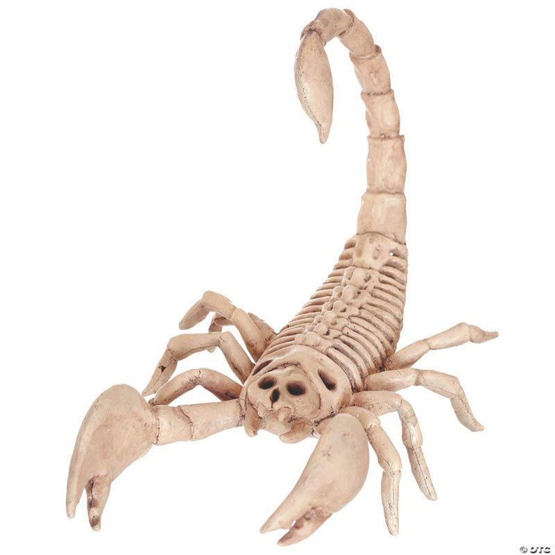 Décoration d'Halloween squelette 9 pouces 9 po Scorpion