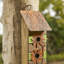 Maison d'oiseaux 14,5 po x 5 po x 5 po Strader Flower-1621220402