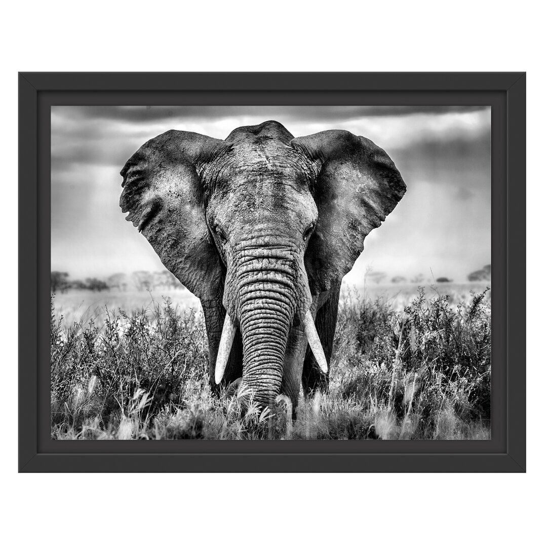 Gerahmtes Wandbild Imposanter Elefant