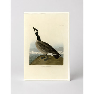 «Barnacle Goose» par Hutchins, plaque CCL XXVII - Portrait, art mural sur toile