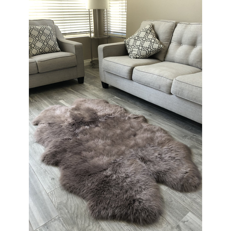 Tapis brun Whiddon, Nouveauté 4 pi x 6 pi