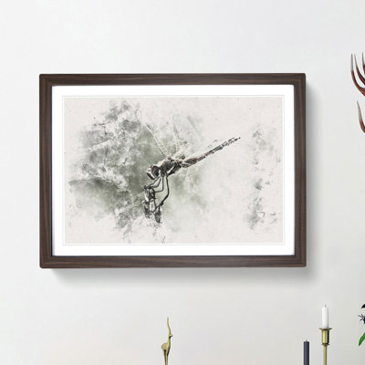 Perched Dragonfly - Framed Print