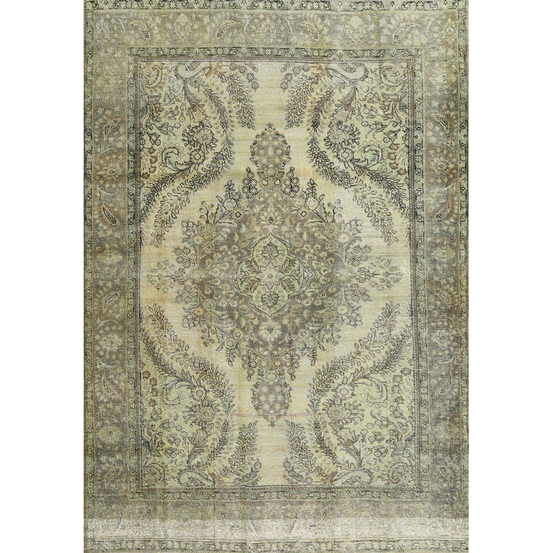 Archie Oriental Indoor Rug, Rectangle 4' x 6'