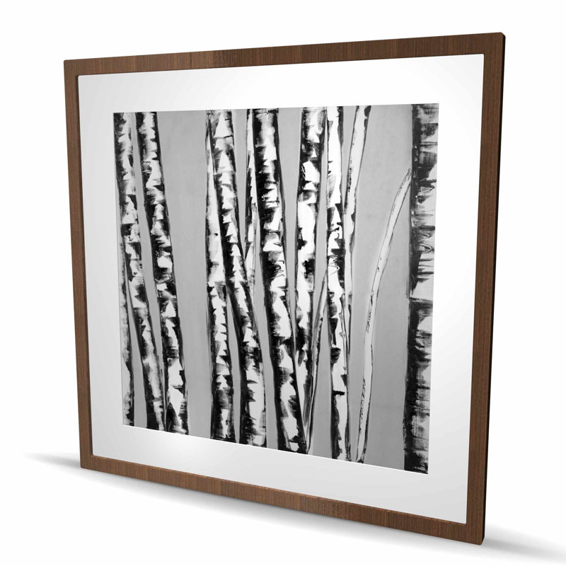 Birches Intersecting - Landscapes Grey Framed Matted Print, 36" H x 36" W, Brown
