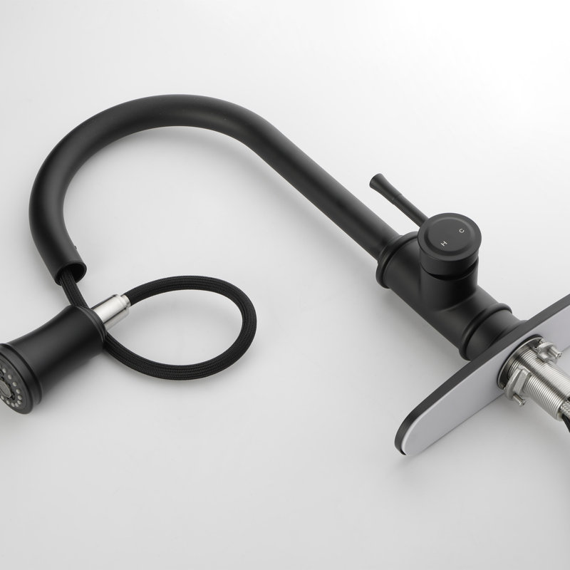Kitchen Faucet With Pull Out Spraye