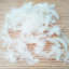 Coussin Carmalita-1865896639