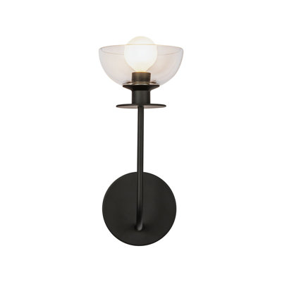 Blakehurst Single Transparent Bath Sconce