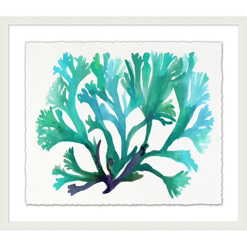 Transparaent Sea Life 2 Print