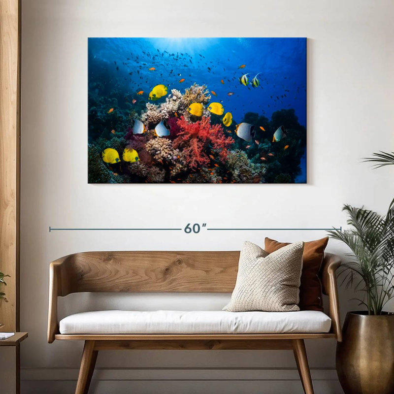 Brampt Underwater Red Sea Life, H 30 po x l 45 po