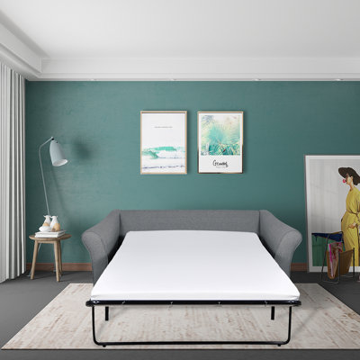 Adamsburg 2 Seater Sofa Bed