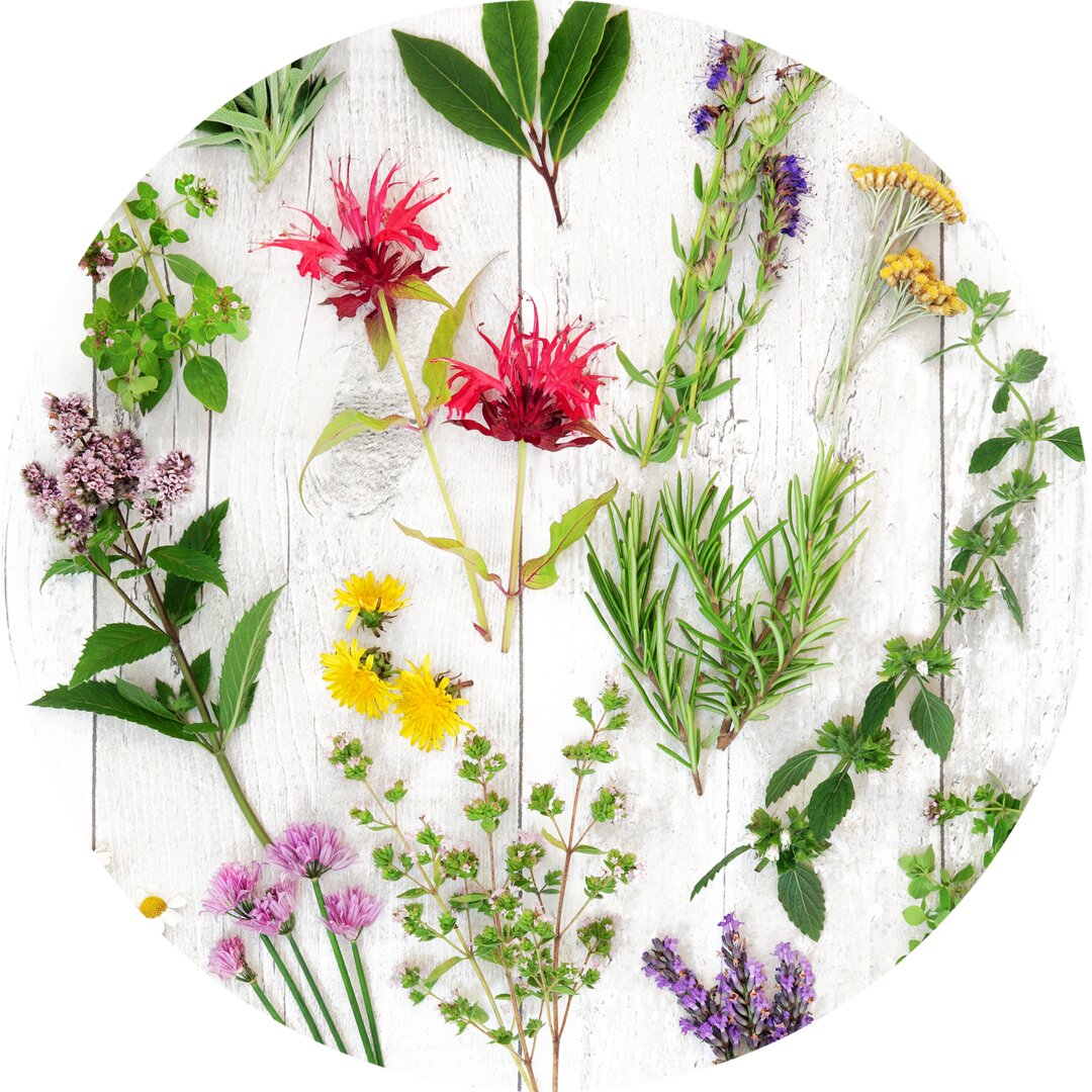 Glasbild Herbs & Flowers