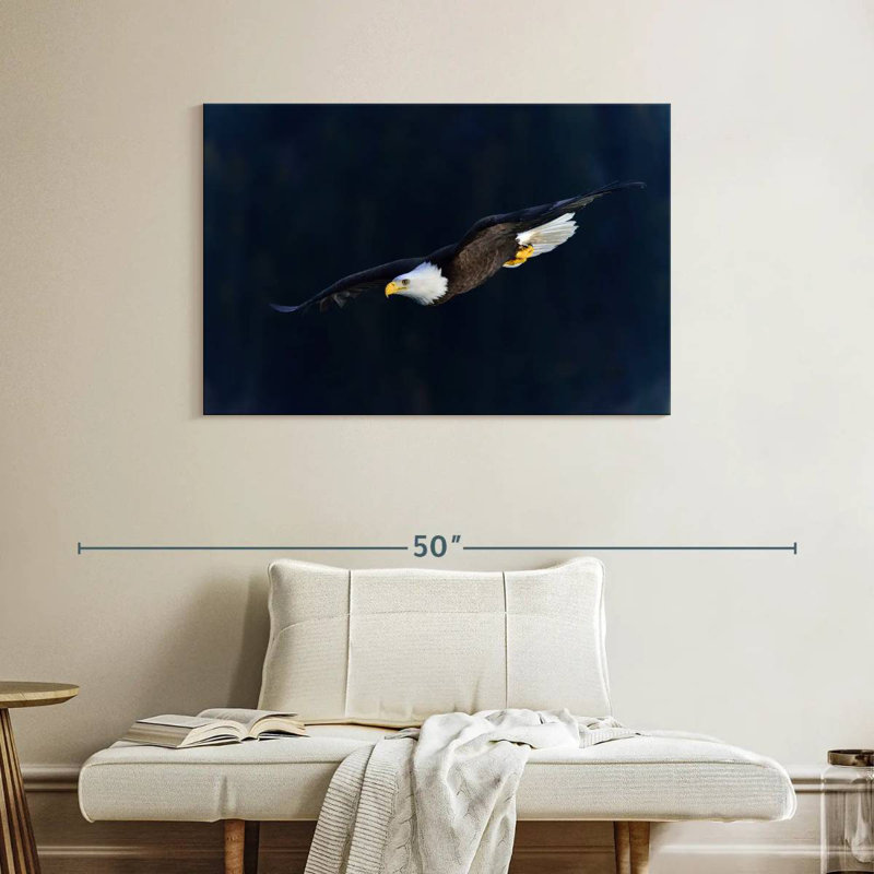 Brampt Aerodynamic Eagle, 26" H x 39" W