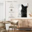 Chat noir et blanc Brampt-108442920