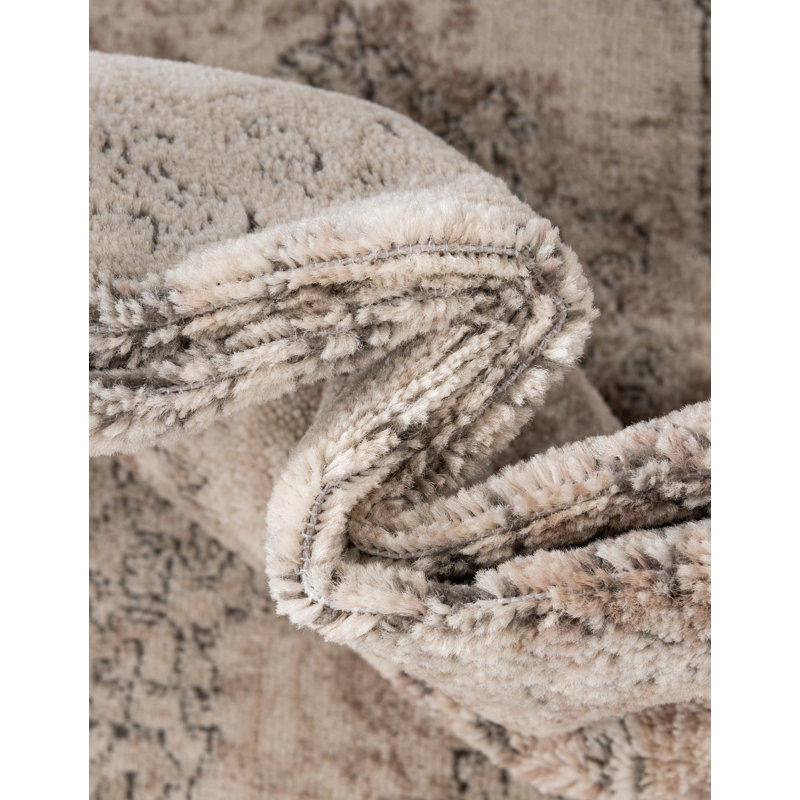 Cantey Oriental Indoor Rug, Rectangle 5'3" x 8'