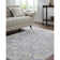 Alayo Machine Woven Area Rug