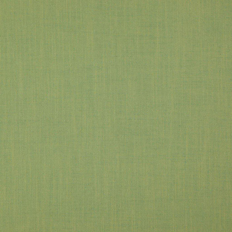 Tissu Strata, Basilic