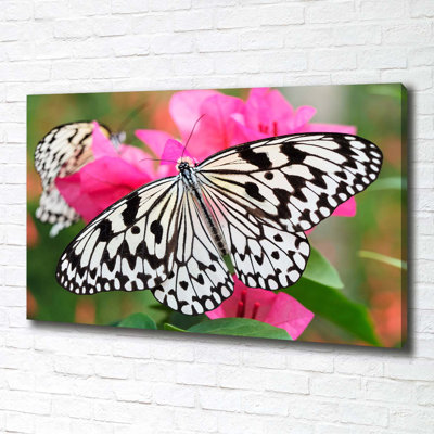 Butterfly On A Flower - No Frame Print on Canvas