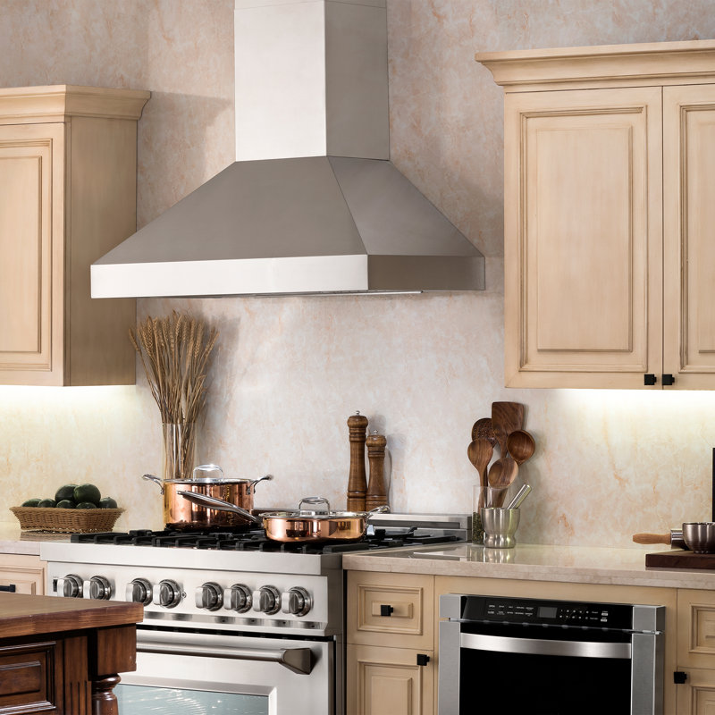 Professional 500 CFM Convertible Wall Mount Range Hood in Stainless Steel
