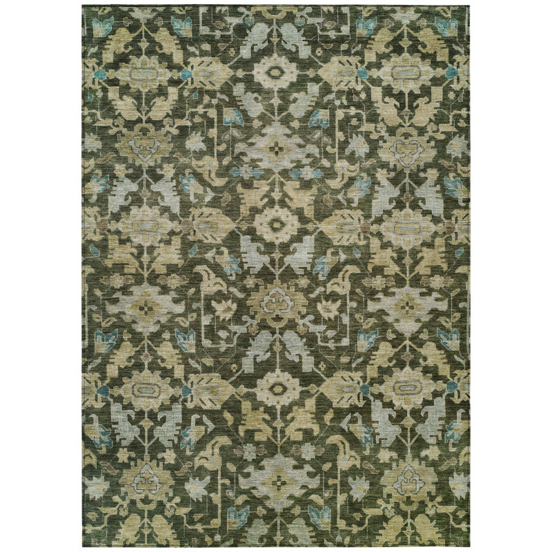 Machine Washable Indoor/Outdoor Francky ACN2358 Traditional Rug, Rectangle 5' x 7'6"