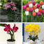 Paquet de 12 piquets de soutien pour plantes de 17 pouces, 4 tiges de soutien de jardin à tige simple de 4 mm d'épaisseur Amaryllis, 420 boucles de plantes, 12 inserts d'étiquettes, 20 attaches de câble