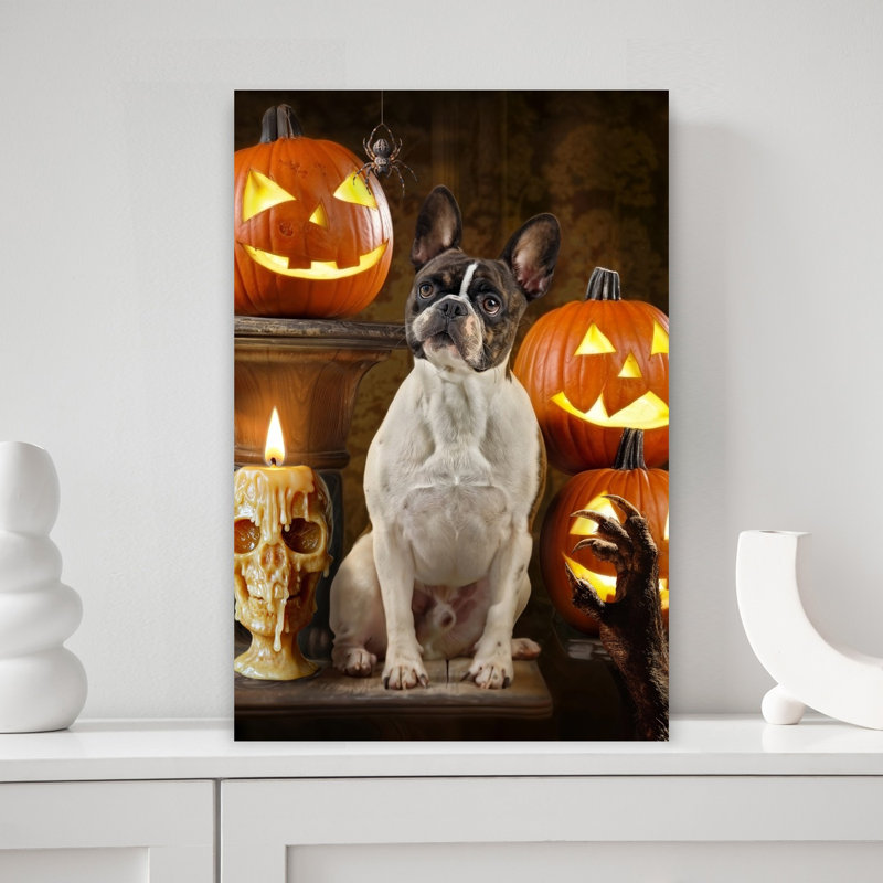Halloween, art bouledogue français, H 18 po x l 12 po