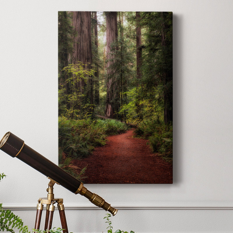 " Forest Path I ", 18" H x 12" W x 1" D
