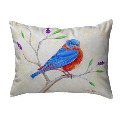 Reversible Throw Pillow