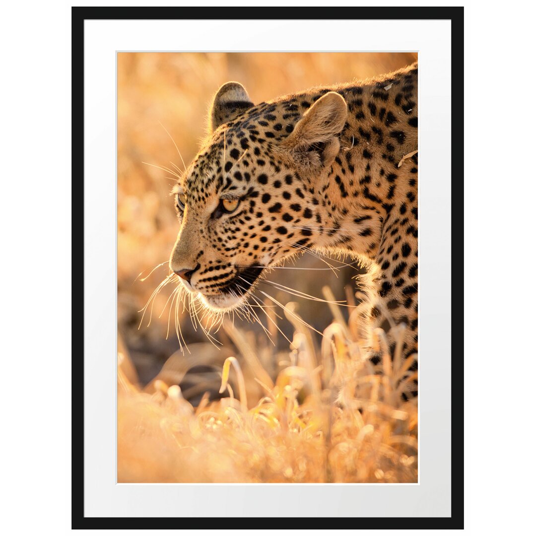 Gerahmtes Poster Jagender Leopard