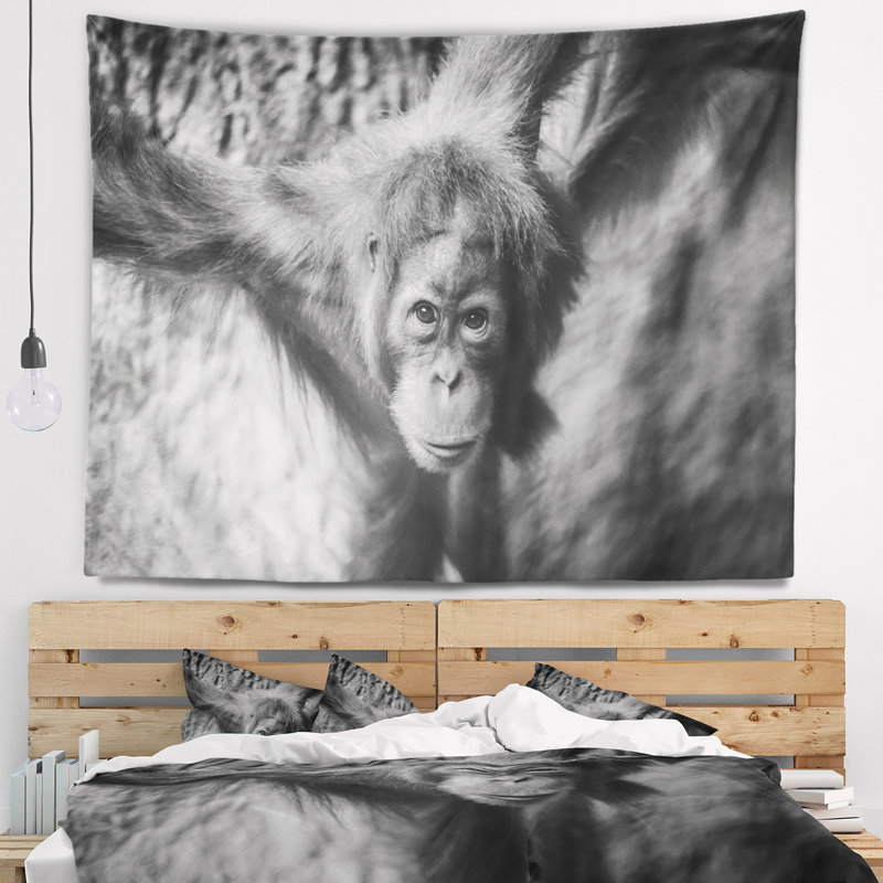 Tapisserie jeune orang-outan noir, H 68 po x l 80 po