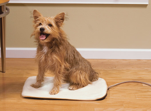 Heated Pet Pad, Large