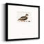 Canard colvert Baileyville-88450720