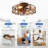  20'' Farmhouse Reversible Caged Ceiling Fan with Light Kit And Remote-1650830879