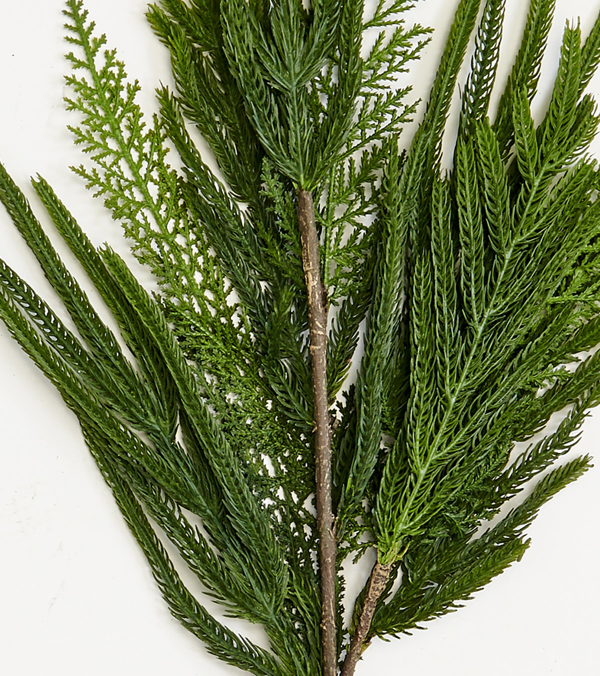 Pine Cedar Floral Stems