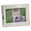 Cadre photo chiot Gelinas-119728457