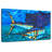 Brampt Atlantic Sailfish-108884551