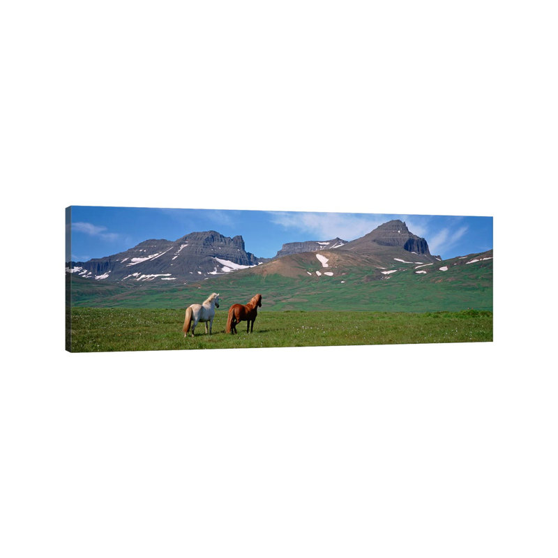 Horses Standing And Grazing In A Meadow, Borgarfjordur, Iceland #3 - Wrapped Canvas Panoramic Print, 182.88 cm H x 60.96 cm W