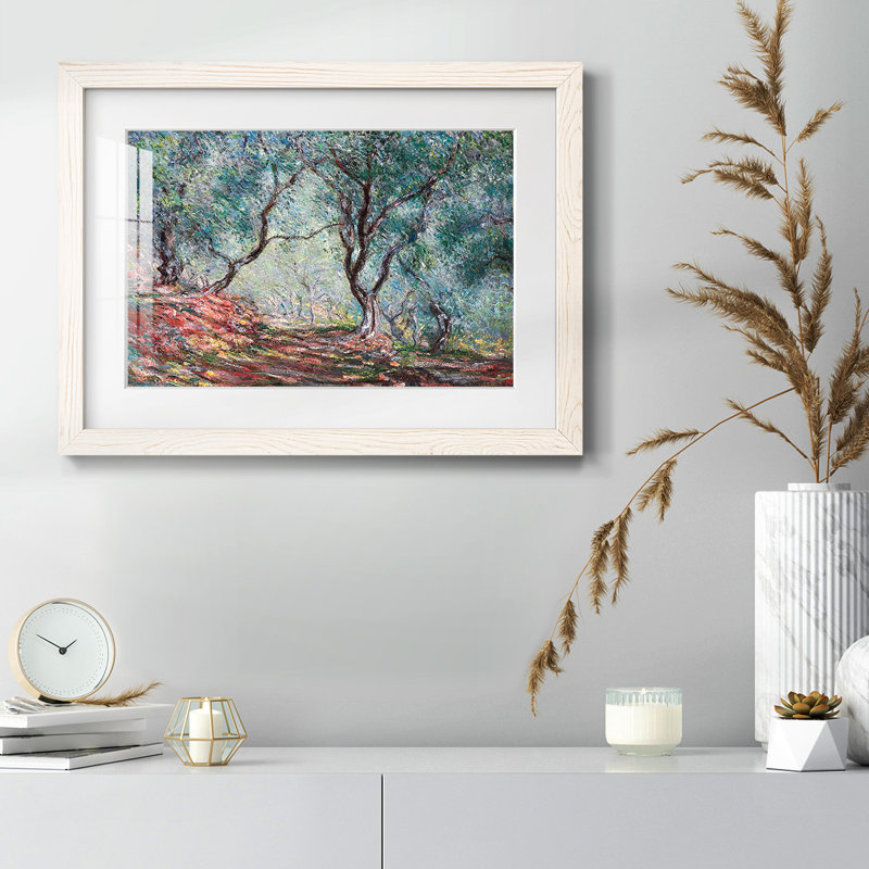 Bois d'olivier dans le jardin Moreno, 1884, Blanc, H 28 po x l 42 po