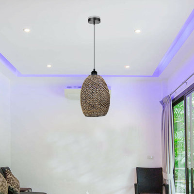 Silenus 1 - Light Single Dome Ceiling Pendant Lights