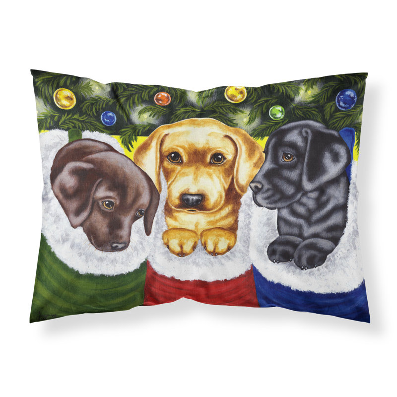  Taie d'oreiller Labrador