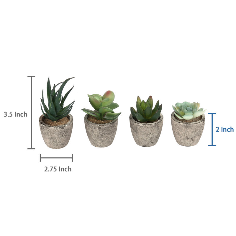 Ensemble de 4 plantes grasses artificielles en pot 0,75 po