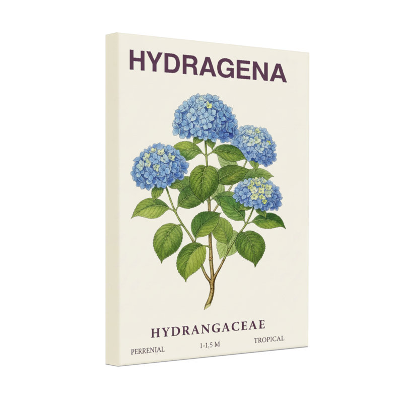 Plantes et fleurs, hortensias, fleurs bleues, feuilles vertes, impression botanique, H 30 po x l 20 po